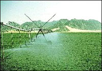 An irrigation system in Israel.