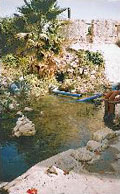 a spring in Jericho