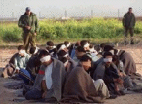 Blindfolded Palestinian prisoners